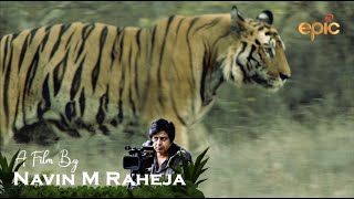 Jim Corbett National Park  A film by Navin M Raheja [upl. by Alioz]