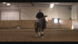 Western Pleasure Training with Jamie Novak part 1 [upl. by Nnasus]