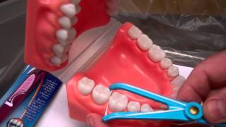 Flossing Technique  Oral Hygiene Instructions by Dr Berdy periodontist Jacksonville FL [upl. by Ardnaek]