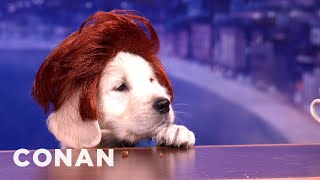 Presenting quotPuppy Conanquot  CONAN on TBS [upl. by Neelear143]