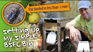 How To Start A Black Soldier Fly Larvae Composting Bin [upl. by Ayatnahs912]