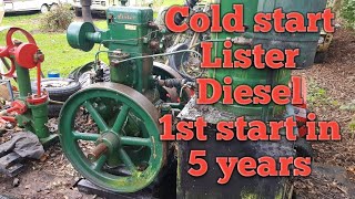 Lister CS Diesel cold start 1st start in 5 years [upl. by Knarf]