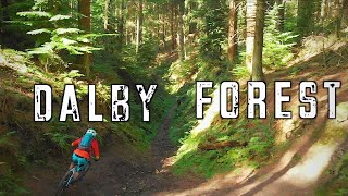 Dalby Forest Mtb  Black world cup route and Red trail [upl. by Joselyn]