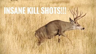 TOP 44 BEST HUNTING KILL SHOTS BOW AND RIFLE [upl. by Gessner518]