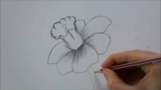 How To Draw a Flower step by step In 6 Minutes [upl. by Klatt684]