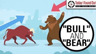 Why are Bull and Bear Markets Called That [upl. by Malvina]