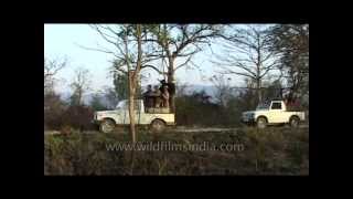 Visiting Corbett National Park an introduction [upl. by Bibby]