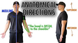 Directional Terms Anatomical Terminology [upl. by Nommad462]