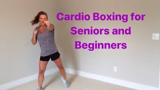 40 minute CARDIO BOXING AEROBICS for seniors and beginners [upl. by Koch]