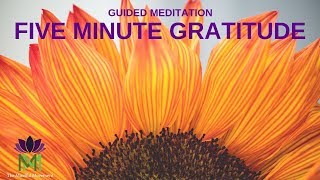 5 Minute Guided Meditation for Gratitude  Mindful Movement [upl. by Cruce]