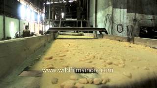 Sugar factory in India [upl. by Eed876]