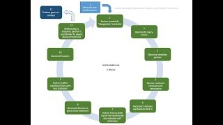 The Expanded Cycle of Narcissistic Abuse [upl. by Sivrep]