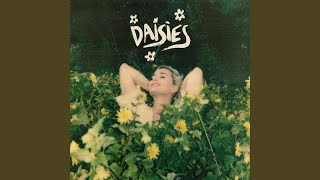 Daisies [upl. by Connolly]