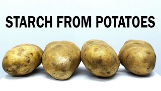 Extracting the starch from potatoes [upl. by Boniface435]