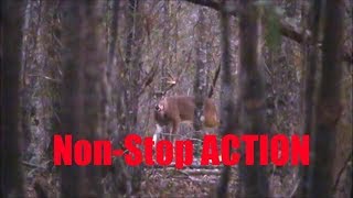 Deer Hunting Kill Shot Compilation [upl. by Eirod412]