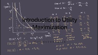 Introduction to the Utility Maximization Process [upl. by Anairt76]