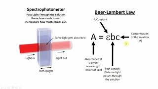 Beers Law Overview [upl. by Harrad459]