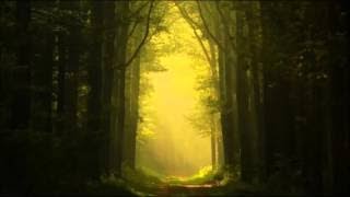 Celtic Spirit Chants and Melodies from the Celtic Lands [upl. by Lambard]