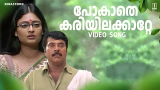 Pokathe Kariyilakkattee Video Song  Mammootty  Rappakal Movie Song  Mohan Sithara  Afsal [upl. by Novek]