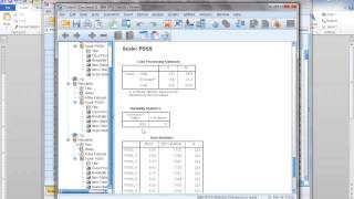 How to compute Cronbachs Alpha reliability in SPSS [upl. by Samalla]