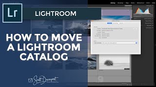 How To Move A Lightroom Catalog [upl. by Angelis]