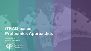 Proteomics Quantification iTRAQ [upl. by Camp]