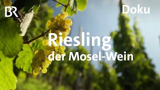 Deutscher Wein an der Mosel  eine RieslingReise  freizeit  Schmidt Max  BR  Doku [upl. by Jerald]