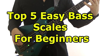 Top 5 Easy Bass Scales For Beginners [upl. by Aytnahs]