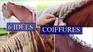 6 IDÉES COIFFURES CHEVAUX  Pour crinières longues [upl. by Giess]