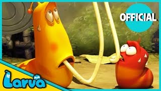 LARVA Funny Animation  LARVA AND THE SPAGHETTI  Cartoons  Comics  LARVA Official [upl. by Gregson]