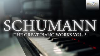 Schumann The Great Piano Works Vol 3 [upl. by Yak]