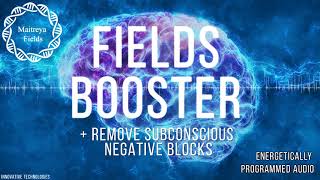 Fields Booster  Increased Energy Sensitivity  Energetically Programmed Audio  Maitreya Reiki™ [upl. by Namyac]