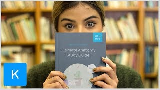 The Ultimate Anatomy Study Guide  Human Anatomy  Kenhub [upl. by Lynelle]