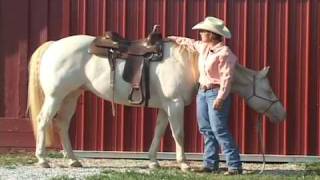 Judging how well your Western Saddle fits your horse [upl. by Lorianna830]