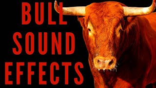 BULL SOUND EFFECTS  How Do Bull Sounds [upl. by Heinrick359]