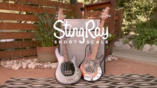 Ernie Ball Music Man 2020 Short Scale StingRay Bass [upl. by Euqinna]