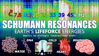 Schumann resonances basics biology amp bioelectricity [upl. by Huttan]