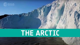 The Arctic a delicate icy ecosystem [upl. by Ahsyek]