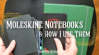 Moleskine Notebooks amp How I Use Them [upl. by Koloski635]