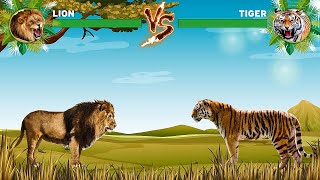 Lion Vs Tiger [upl. by Liakim22]