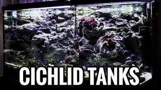 How to Aquascape Your African Cichlid Tank [upl. by Stoeber]