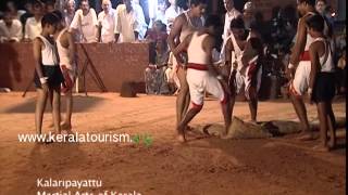 Martial Arts Performance  Kalaripayattu [upl. by Marrilee139]