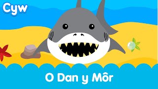 Cân O Dan y Môr Cyw  Cyws Under the Sea Song [upl. by Bordiuk]