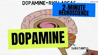 2Minute Neuroscience Dopamine [upl. by Niall]