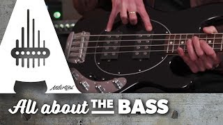 Music Man Stingray Basses  All About The Bass [upl. by Annawak]