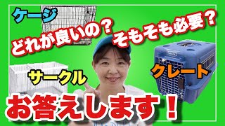 【犬 サークルとケージとクレート】どれを使う？そもそも使わない？ドッグトレーナーが解説します！ [upl. by Alphonsine]