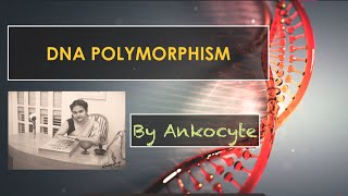 DNA Polymorphisms and its classifications [upl. by Azile]