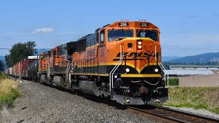 Western USA Freight Trains [upl. by Jarv908]