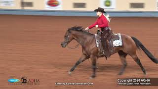 2020 AQHA Amateur Ranch Riding [upl. by Eon]