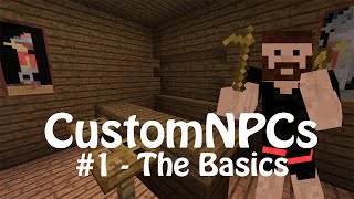 Custom NPCs Scripting Tutorial 1  The Basics [upl. by Odlareg]